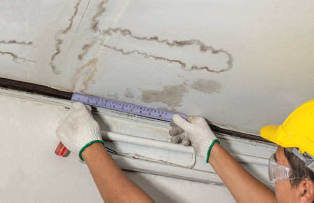 Reliable Mold Remediation contractor in West Roxbury, MA by Local Water Damage Repair